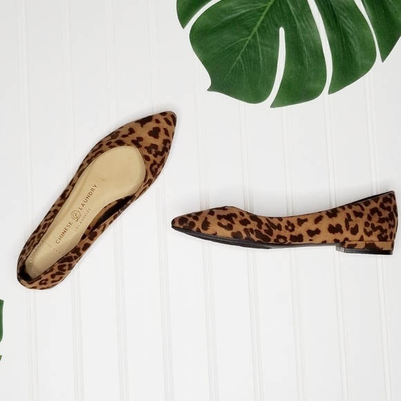 chinese laundry gavin flat